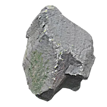a rock with moss growing on it