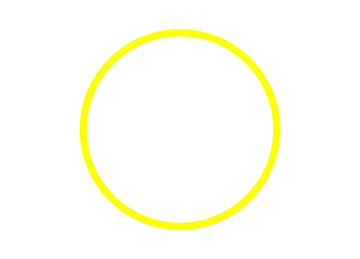a black oval frame on a white background