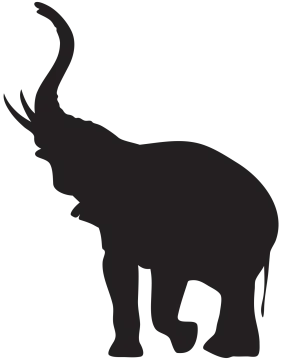 an elephant silhouetted on a white background