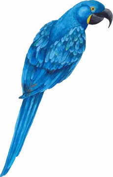 a watercolor painting of a blue parrot