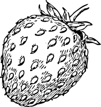 a black and white drawing of a strawberry