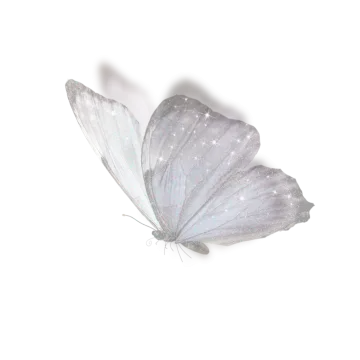 a white butterfly is flying in the air