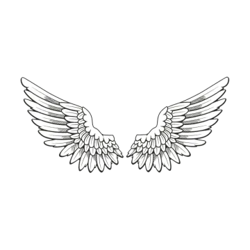 a pair of wings on white background