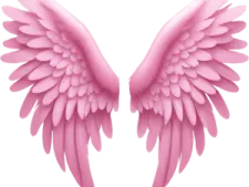 a pair of pink wings