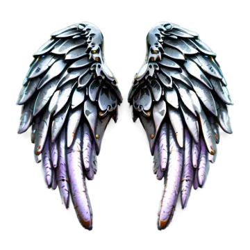 a pair of wings on a white background