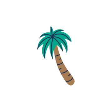 a palm tree on a white background