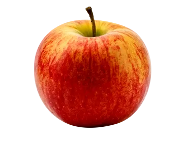 an apple on a white background