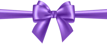a purple bow on a white background