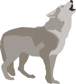 a wolf silhouetted on a white background