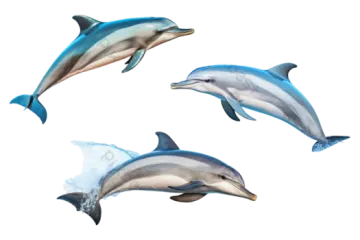 three dolphins jumping out of the water