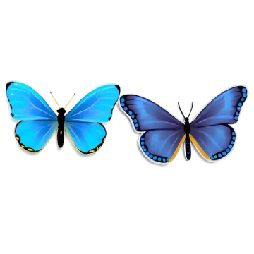 two butterflies on a white background