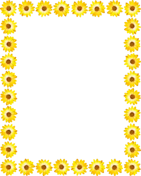 a sunflower border with a white background