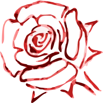 a drawing of a rose