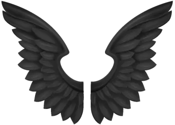 a pair of black wings