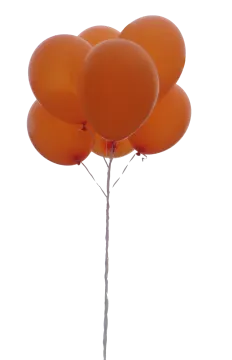 a bunch of orange balloons on a white background