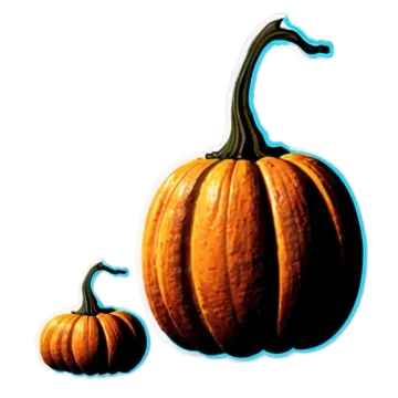 a drawing of two pumpkins on a white background