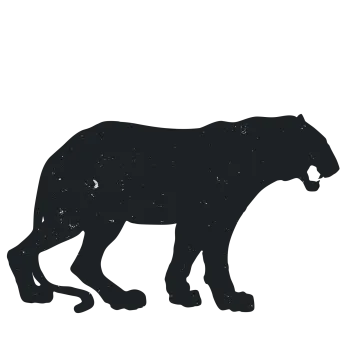a black panther silhouetted on a white background