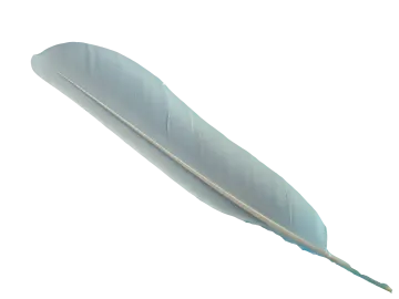 a blue feather on a white background