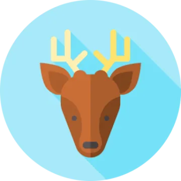 a deer's head with long horns
