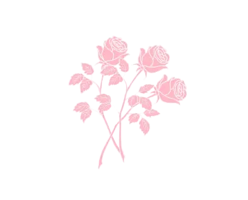 a pink rose on a white background