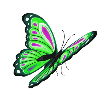 a green butterfly on a white background
