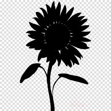 a black and white silhouette of a flower