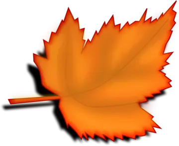an orange leaf on a white background