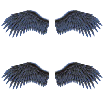 three blue wings on a white background