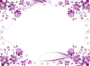 purple flowers on a white background