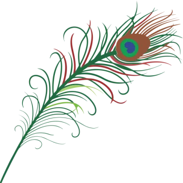 a green and red peacock feather on a white background