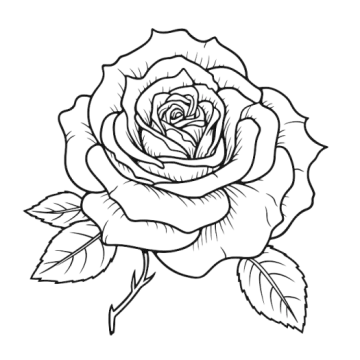 a rose tattoo design