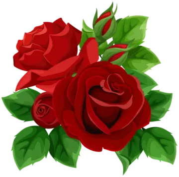 a bunch of red roses with green leaves