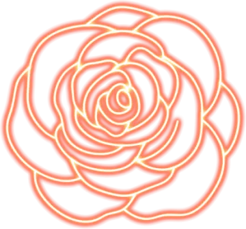a white rose with yellow highlights on it
