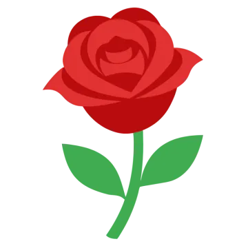 a red rose on a white background