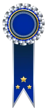 a blue and silver award ribbon with gold stars