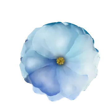 a blue flower on a white background