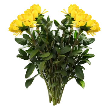a bouquet of yellow flowers on a white background