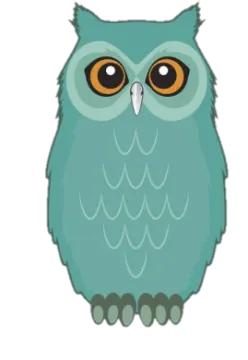 an owl with big eyes