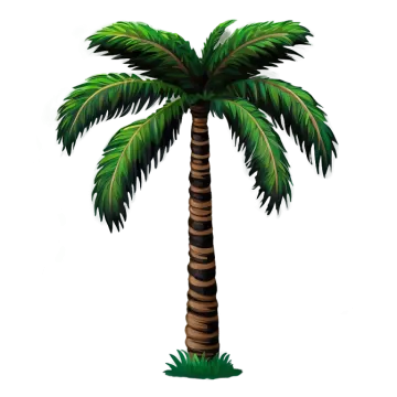 a palm tree on a white background