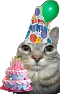 a cat wearing a birthday hat and holding a cake