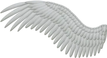 an image of a white angel wing