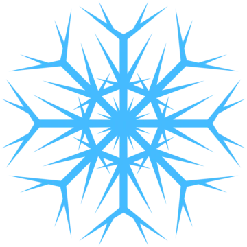 a blue snowflor logo