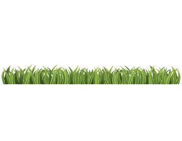 a green grass border on a white background