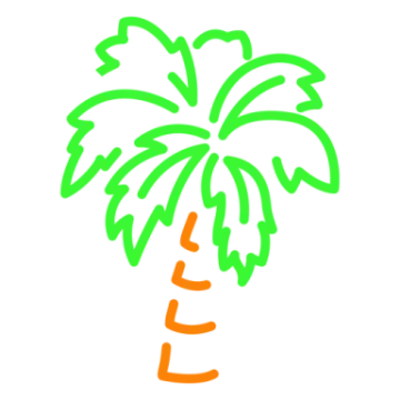 a drawing of a palm tree