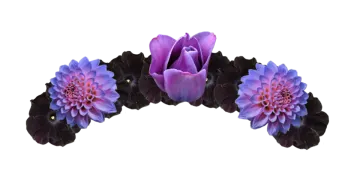 a purple and black flower headband