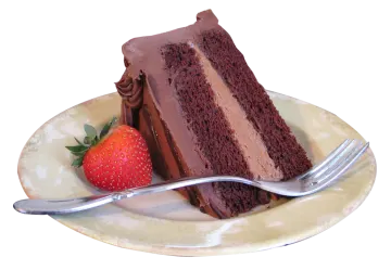 a piece of chocolate cake on a plate