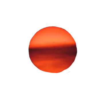 an orange circle on a white background