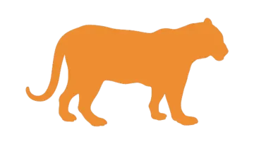 an orange silhouette of a cat