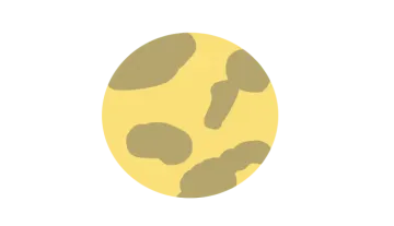 a yellow egg with black spots on it