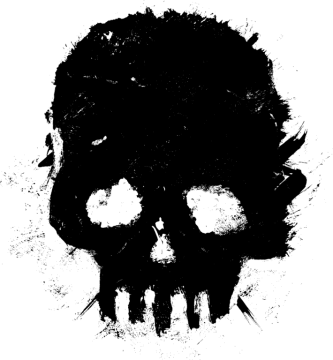 a black and white skull on a white background